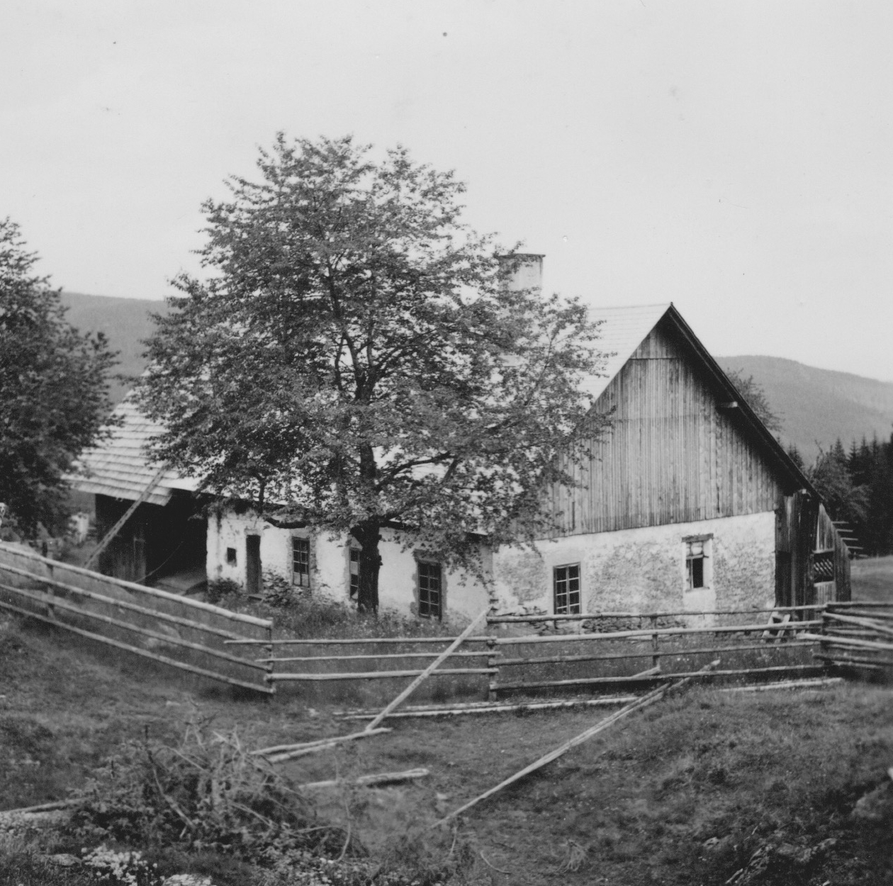 Alte Hütte 1