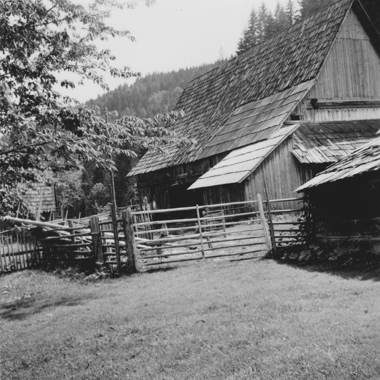 Blasihube Stall