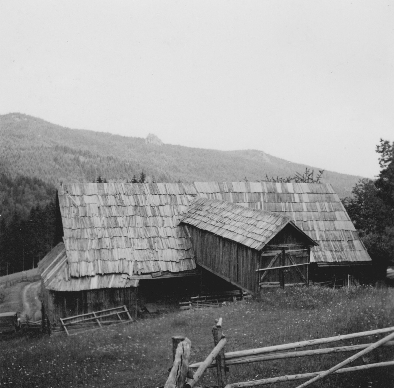 Stall, Foto 1957