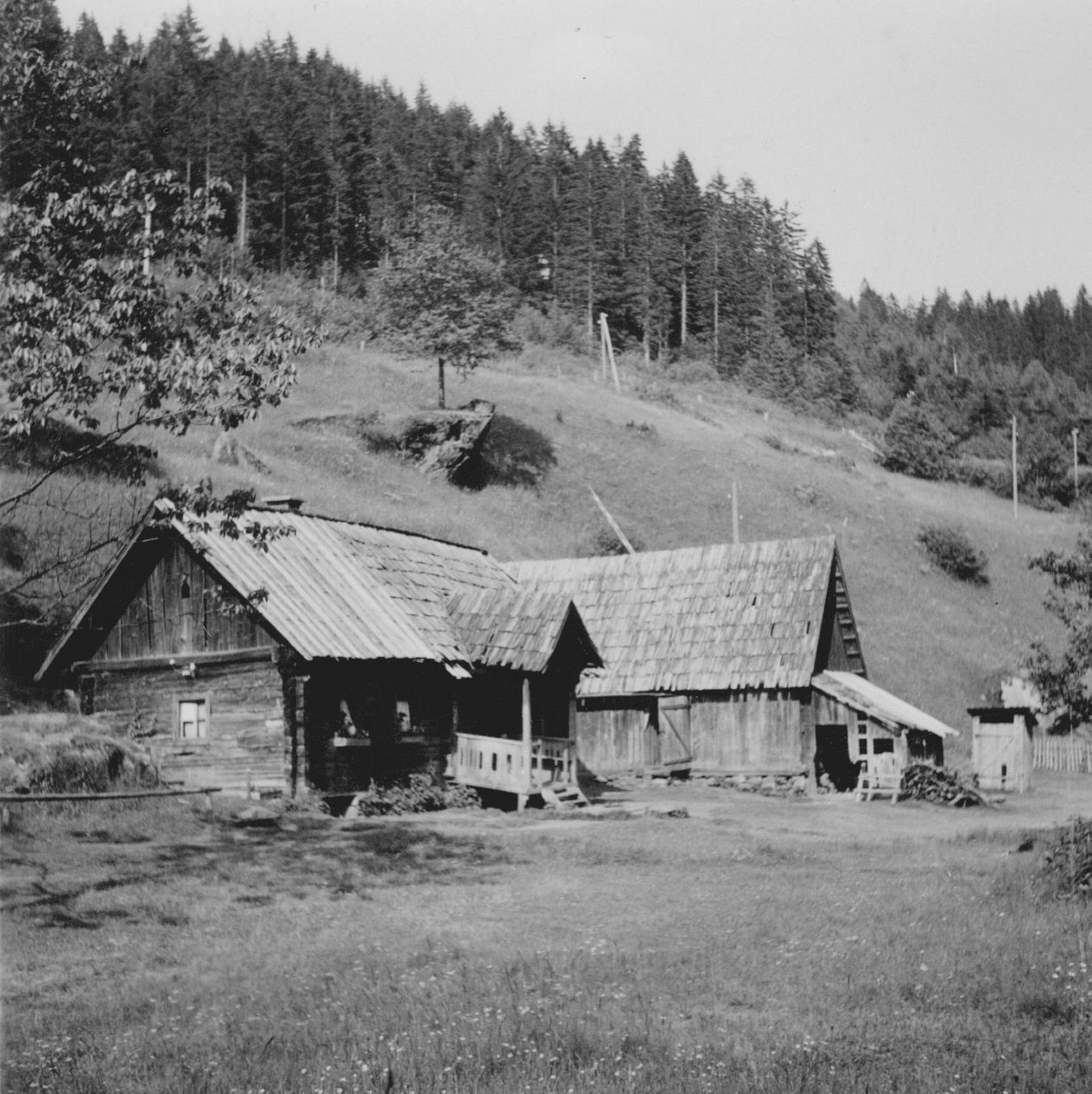 Krumbach Pestkeusche